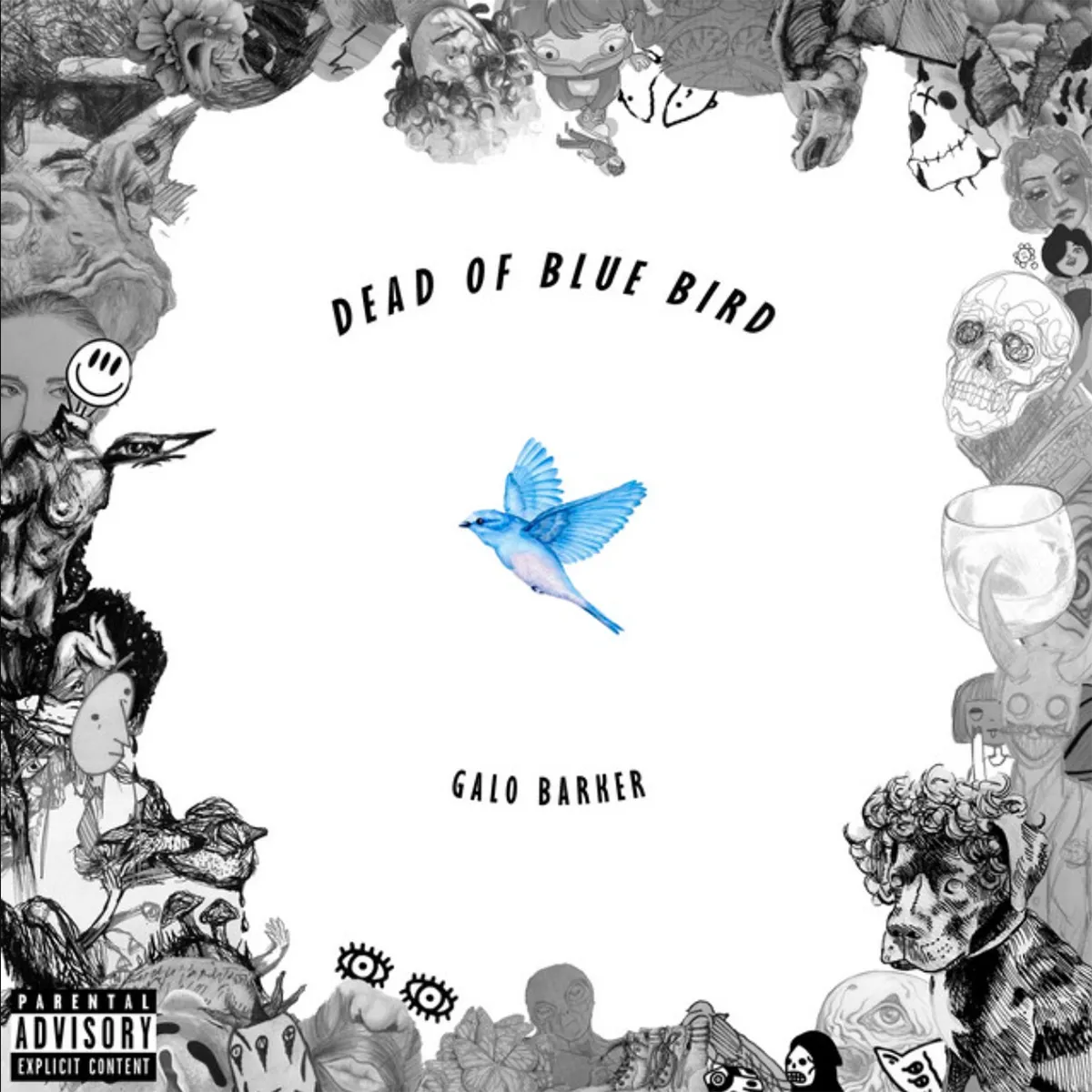 Dead Of Blue Bird