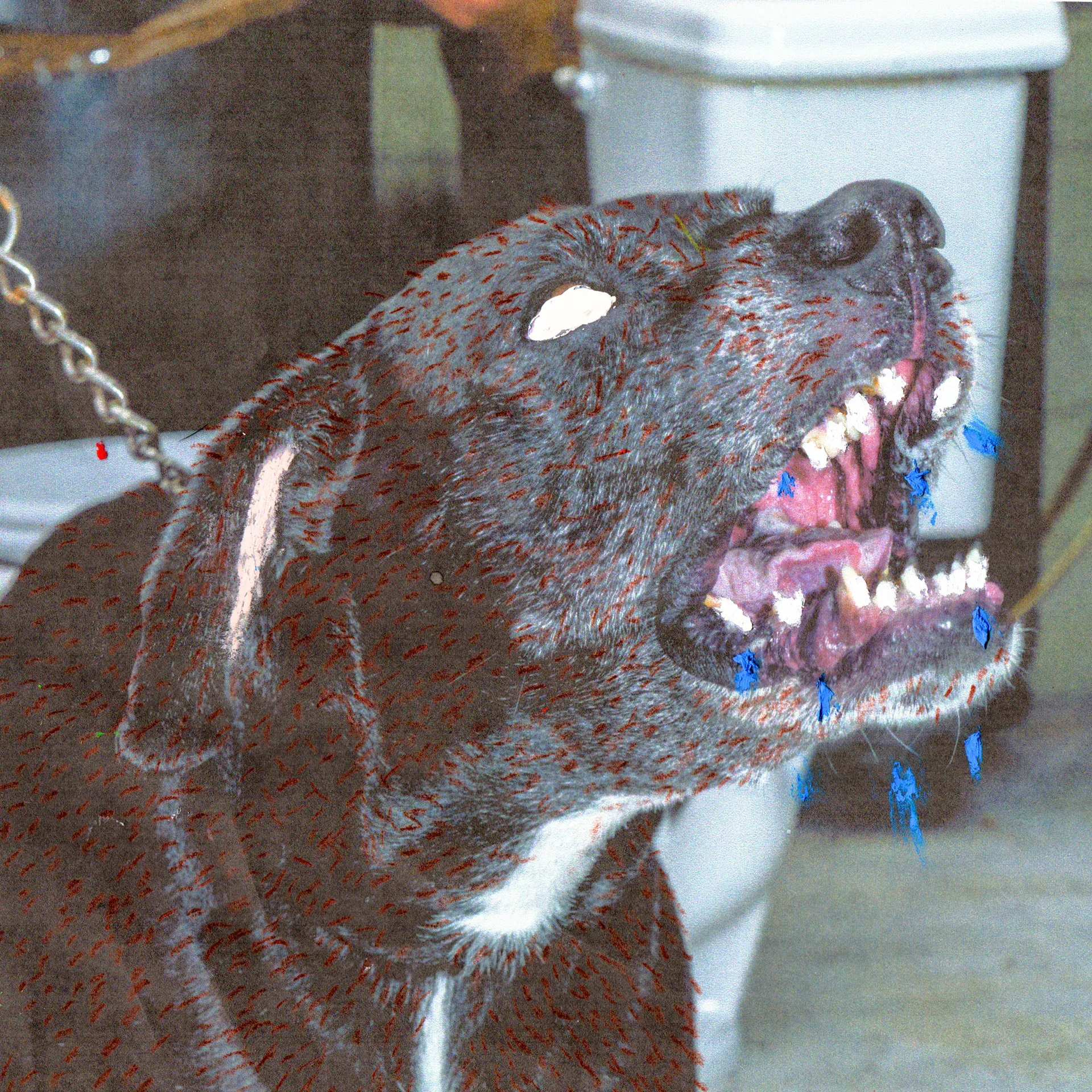 Portada del álbum WOOF de Galo Barker